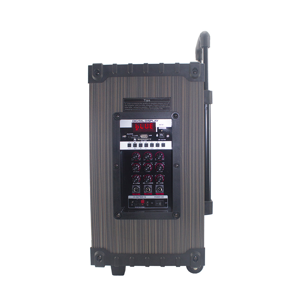 Zore LT-908 Dijital LED Göstergeli FM Radyolu Mikrofonlu TWS 8 inç Stereo Bass Kablosuz Karaoke Hoparlör Siyah