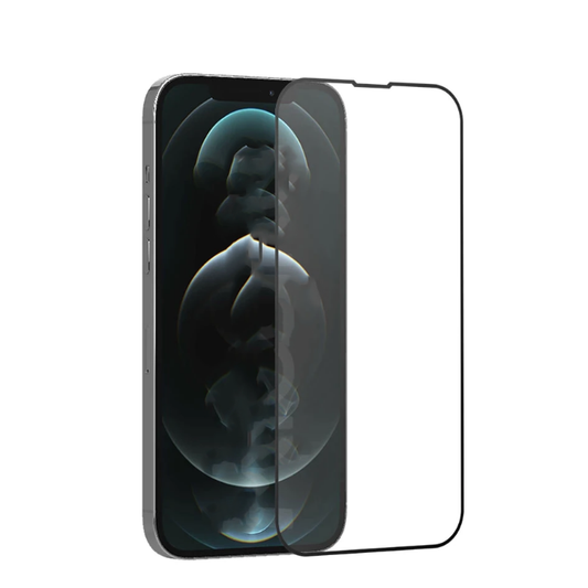 Apple iPhone 16E Zore Rio Glass Cam Ekran Koruyucu Siyah