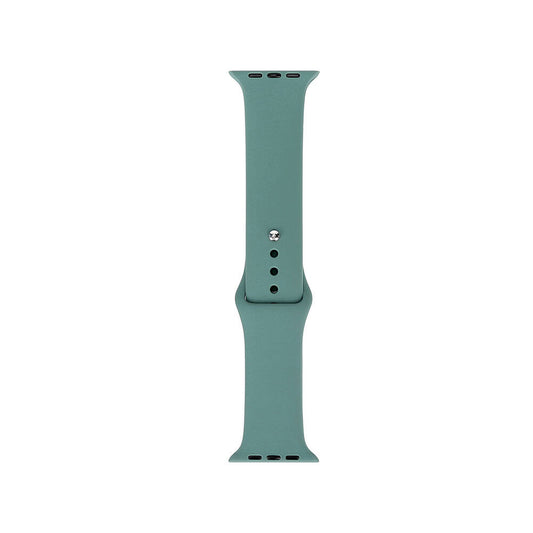 Apple Watch 40mm Band Serisi Klasik Kordon Silikon Strap Kayış Cactus