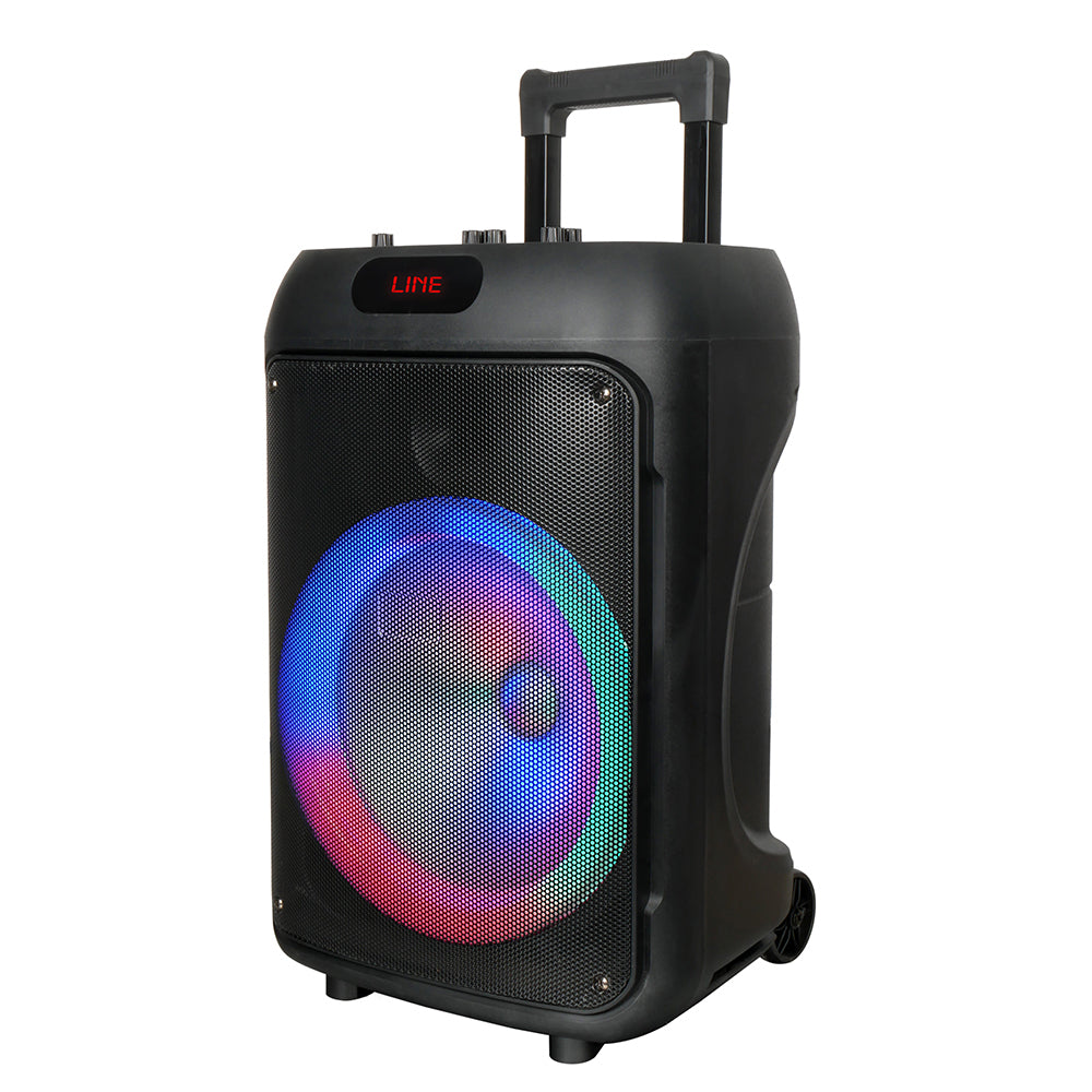 Zore GD-1203 Dijital LED Göstergeli FM Radyolu Mikrofonlu RGB TWS 12 inç Stereo Bass Kablosuz Karaoke Hoparlör Siyah