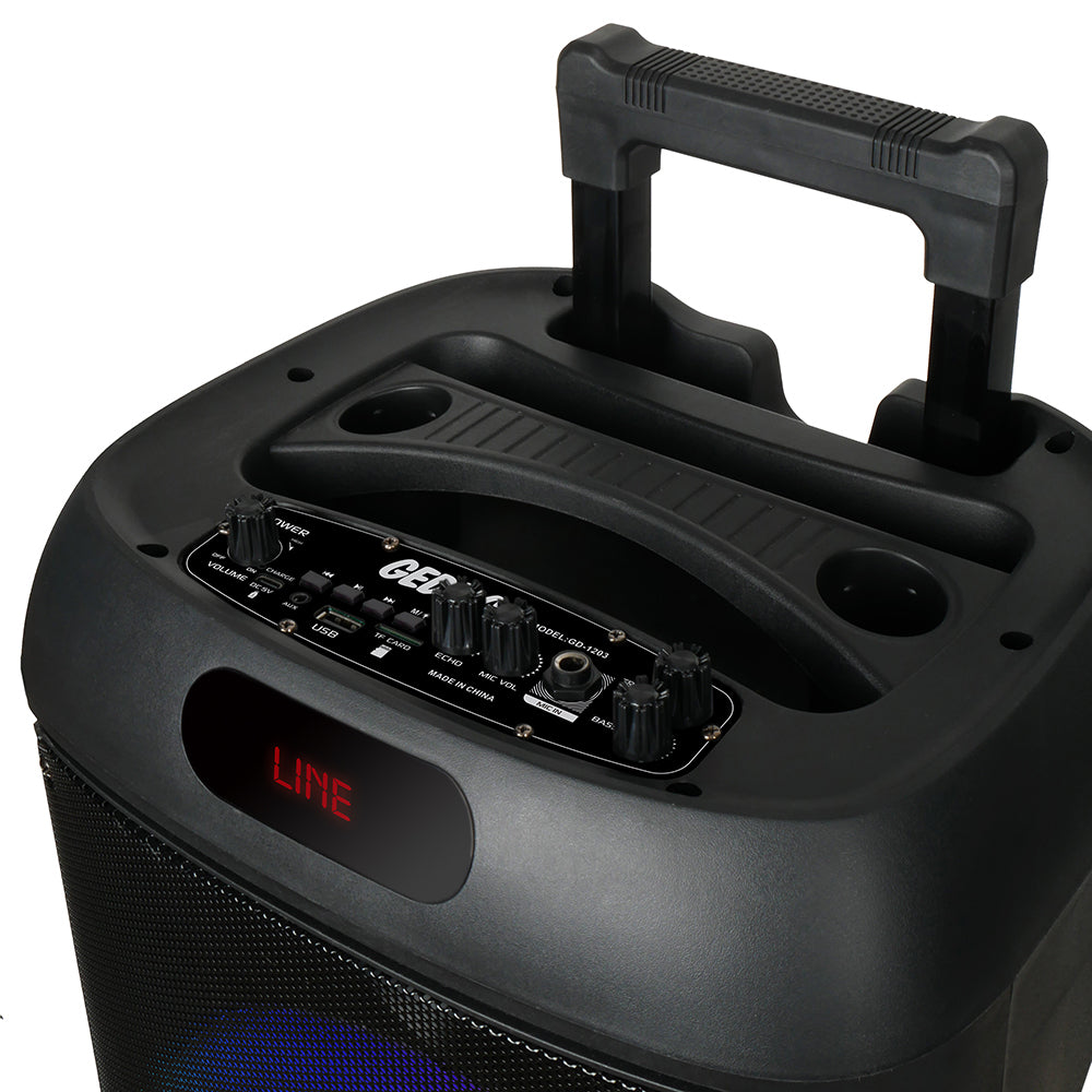 Zore GD-1203 Dijital LED Göstergeli FM Radyolu Mikrofonlu RGB TWS 12 inç Stereo Bass Kablosuz Karaoke Hoparlör Siyah