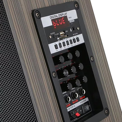 Zore LT-908 Dijital LED Göstergeli FM Radyolu Mikrofonlu TWS 8 inç Stereo Bass Kablosuz Karaoke Hoparlör Siyah