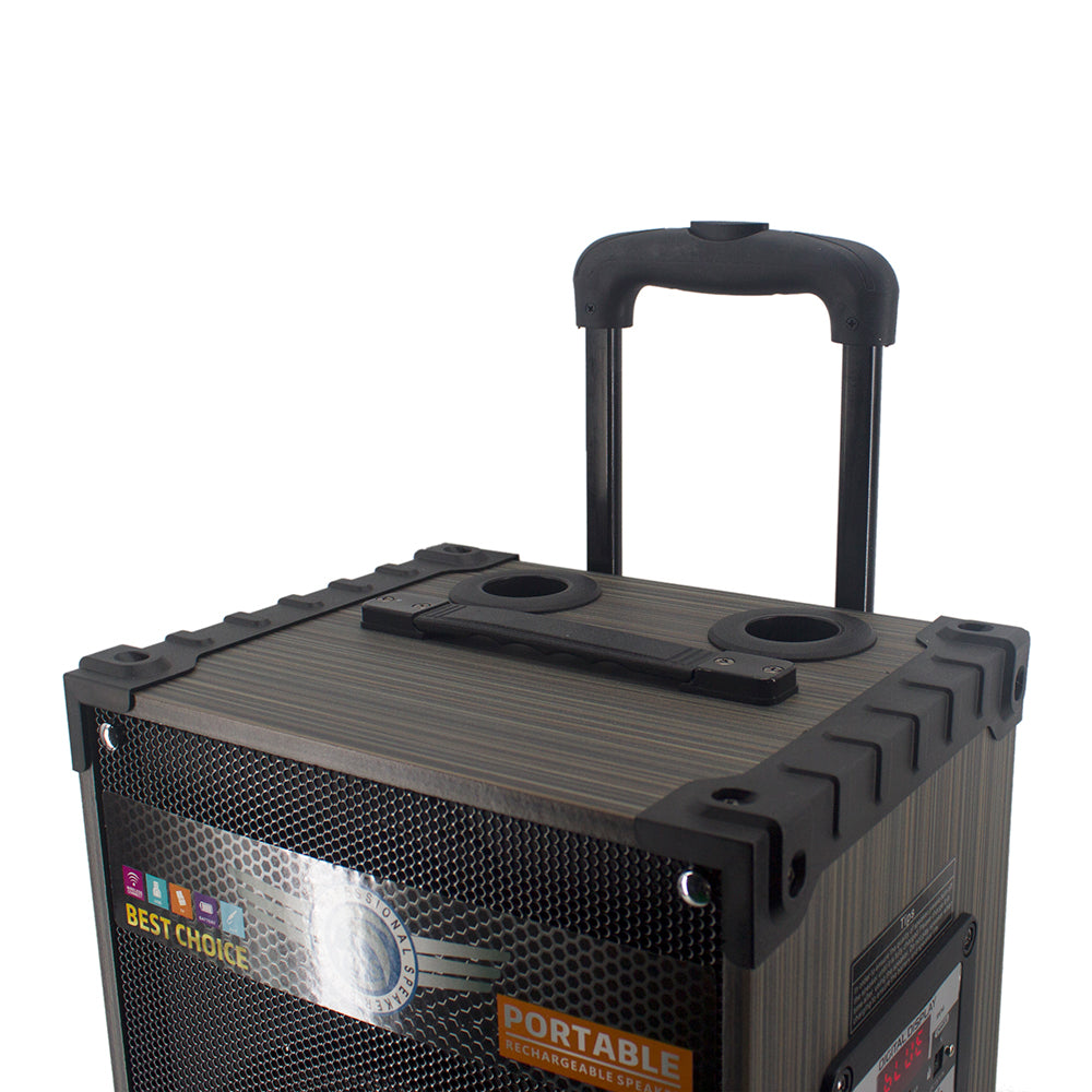 Zore LT-910 Dijital LED Göstergeli FM Radyolu Mikrofonlu Gitar Girişli TWS 10 inç Stereo Bass Kablosuz Karaoke Hoparlör Siyah