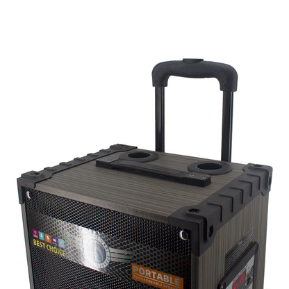 Zore LT-910 Dijital LED Göstergeli FM Radyolu Mikrofonlu Gitar Girişli TWS 10 inç Stereo Bass Kablosuz Karaoke Hoparlör Siyah