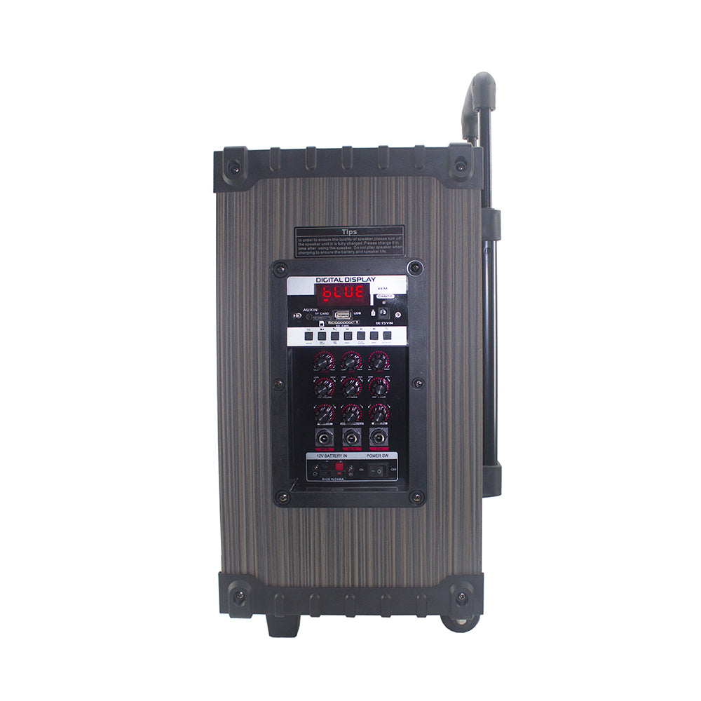 Zore LT-910 Dijital LED Göstergeli FM Radyolu Mikrofonlu Gitar Girişli TWS 10 inç Stereo Bass Kablosuz Karaoke Hoparlör Siyah