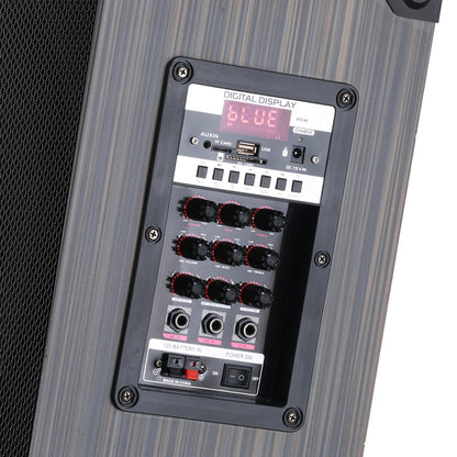 Zore LT-910 Dijital LED Göstergeli FM Radyolu Mikrofonlu Gitar Girişli TWS 10 inç Stereo Bass Kablosuz Karaoke Hoparlör Siyah
